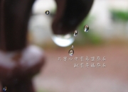开云体育-绝杀之夜，足球的残酷与壮美—2026世界杯H组关键战，塞尔维亚替补奇兵一剑封喉，加维的西班牙与命运共舞