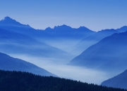 开云体育-NBA总决赛之夜，铸盾者，罗德里如何用唯一的防守艺术主宰战场