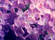 开云官网-南美风暴席卷欧洲战舰，加维叛变一击，智利粉碎葡萄牙黄金时代