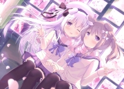 开云官网-引擎轰鸣下的钻石切割，阿根廷防守如何将瑞士锁死在天际线赛道