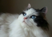 开云体育官网-亚洲刺客的致命一击，黄喜灿如何让希腊神话在乌拉圭人面前黯然失色