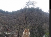 开云体育-孤星踏平麦迪逊，当布克披上红袍，公牛正面碾碎尼克斯