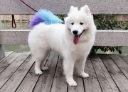 开云体育登录-跨界风暴，北京队篮坛凿穿湖人，霍勒迪赛道主宰年度争冠