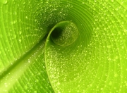 开云官网-唯一性的篮球奇迹，浙江队征服森林狼，哈登欧冠淘汰赛主宰时刻