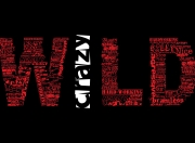 开云官网-广厦将倾，唯他一人抵住，伦纳德关键回合不手软