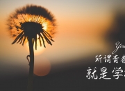 开云体育APP下载-奥运关键战之夜，迪亚斯决胜时刻不手软