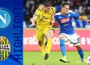 开云体育中国-维罗纳突围成功，赢得关键战役的简单介绍