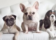 开云体育-跨越欧亚的绿茵版图，金玟哉里程碑与乌克兰的战术压制