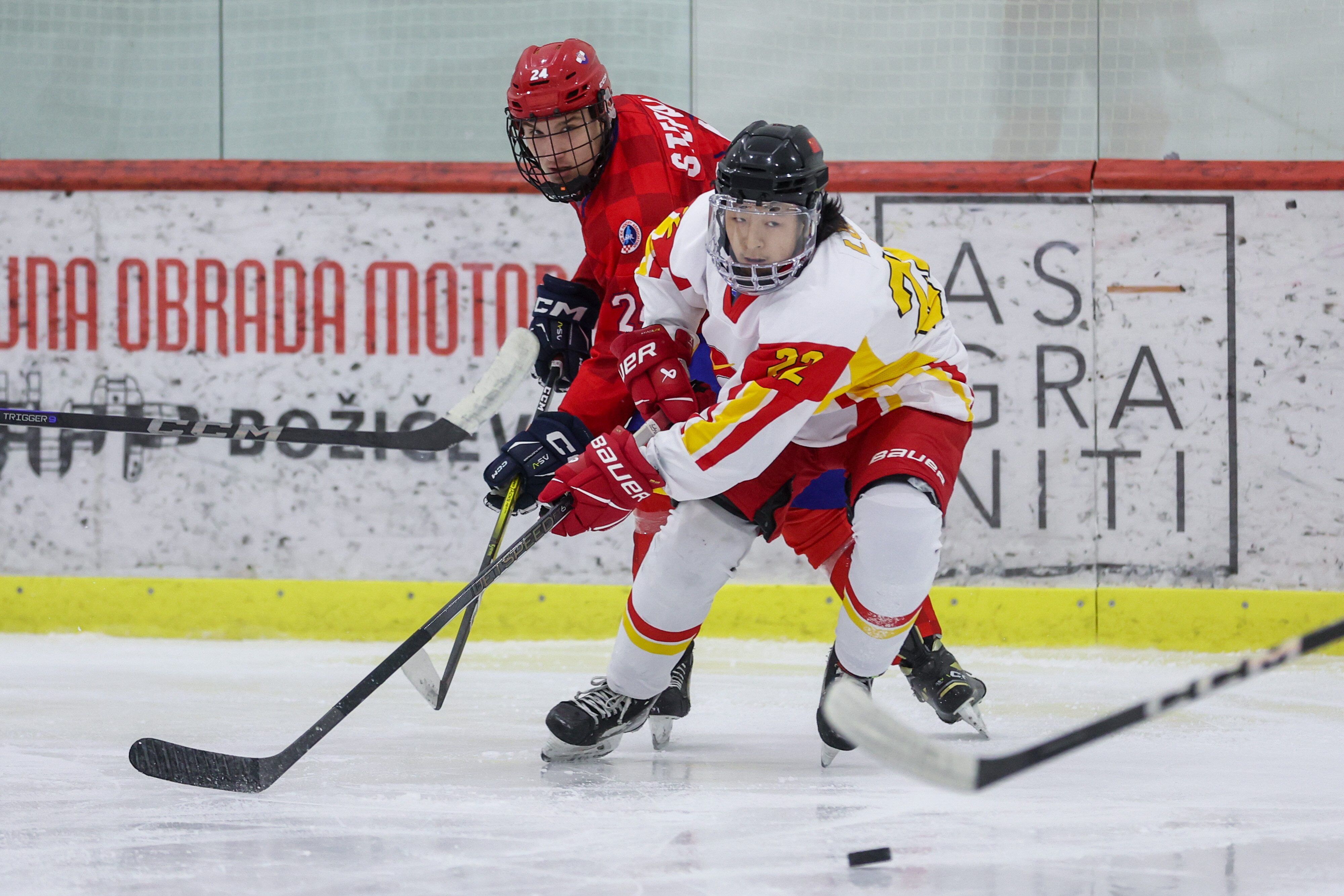 冰球赛季收官，冠军榜单揭晓的简单介绍