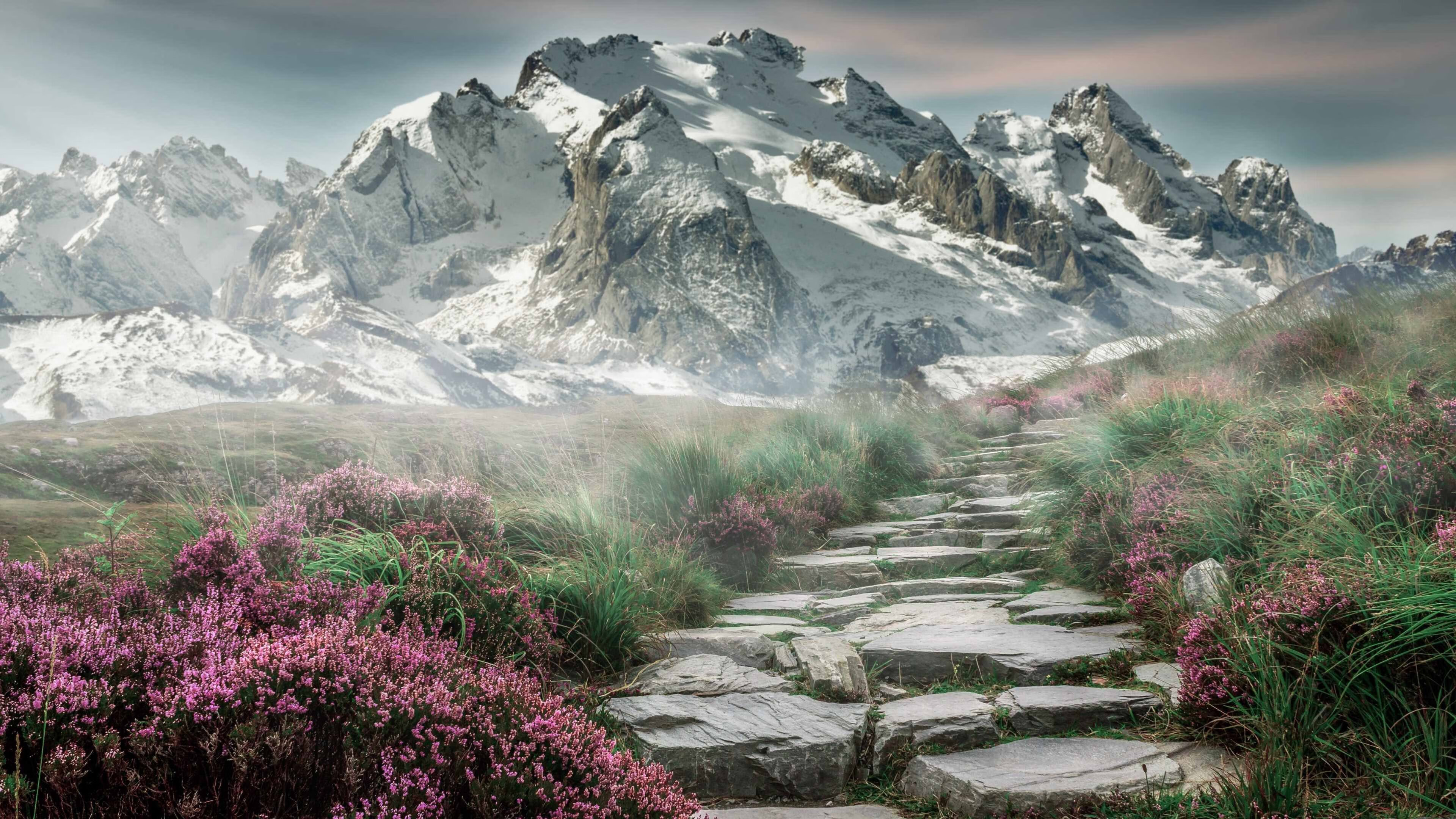 流星轨迹,王朝序章,欧冠决赛之夜范弗利特全场最佳无争议