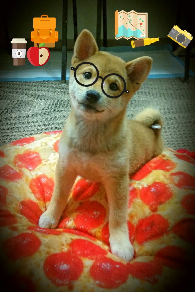 小国掀翻战舰!阿什拉夫神勇扑救,几内亚强势击败比利时改写历史