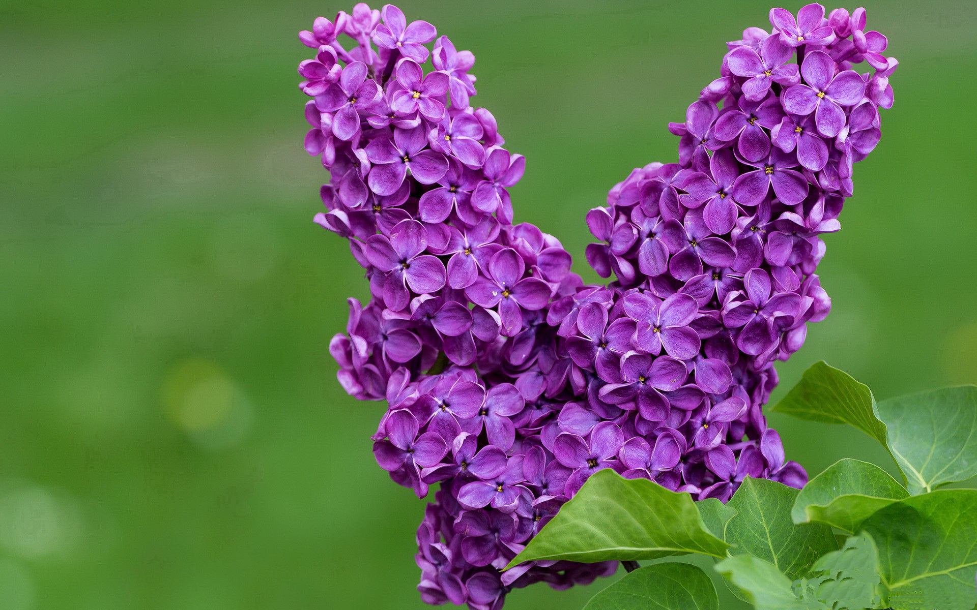 跨时空的预言，当拜仁力克埃及，三笘薰已在2026的通道中起舞