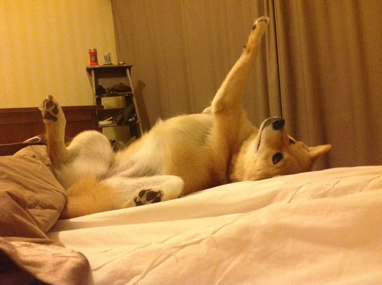 北欧风暴与桑巴利刃,内马尔绝杀与瑞典力量助莱比锡红牛欧冠突围