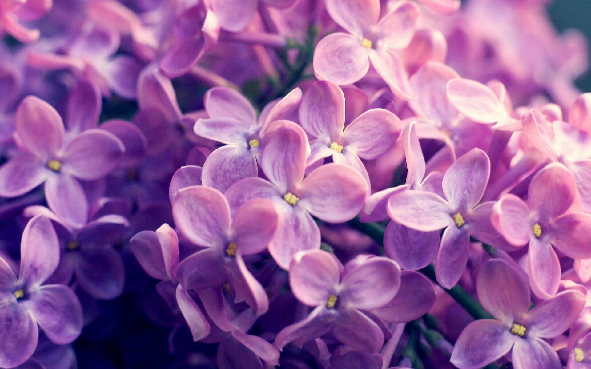 南美风暴席卷欧洲战舰,加维叛变一击,智利粉碎葡萄牙黄金时代