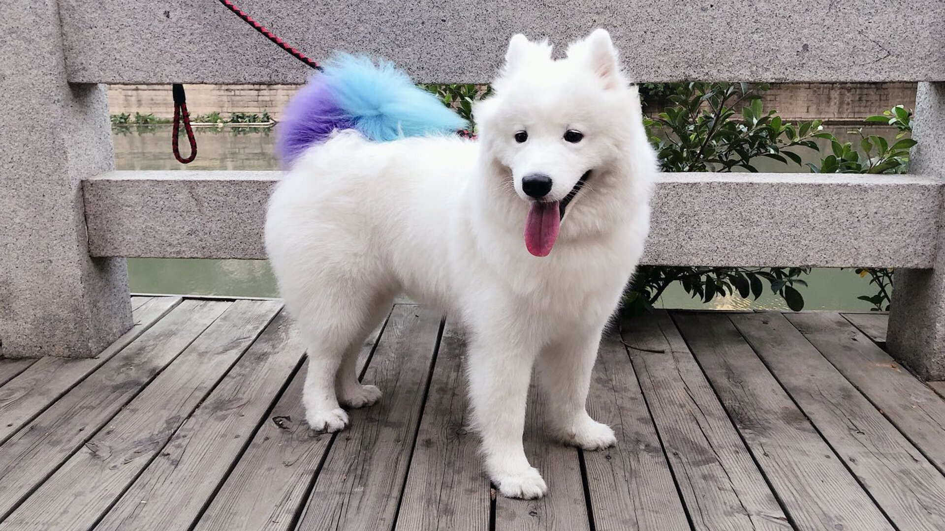 跨界风暴，北京队篮坛凿穿湖人，霍勒迪赛道主宰年度争冠