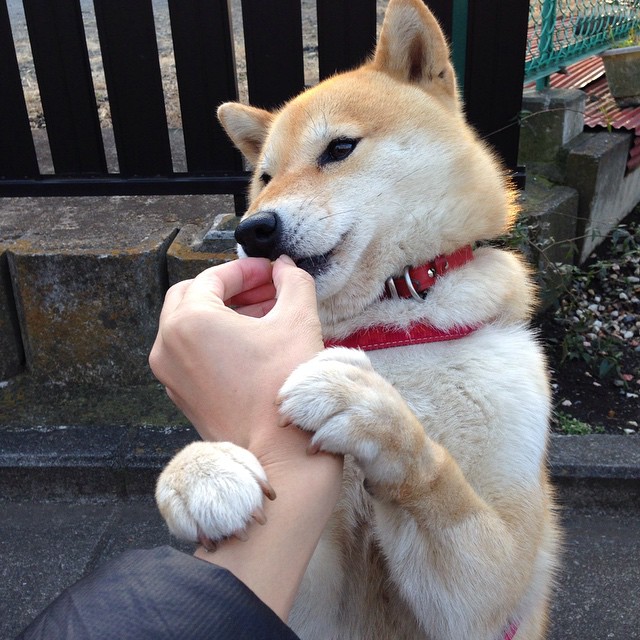 欧冠霸主拜仁碾压曼城晋级，凯塞多闪耀美加墨世界杯接管赛场