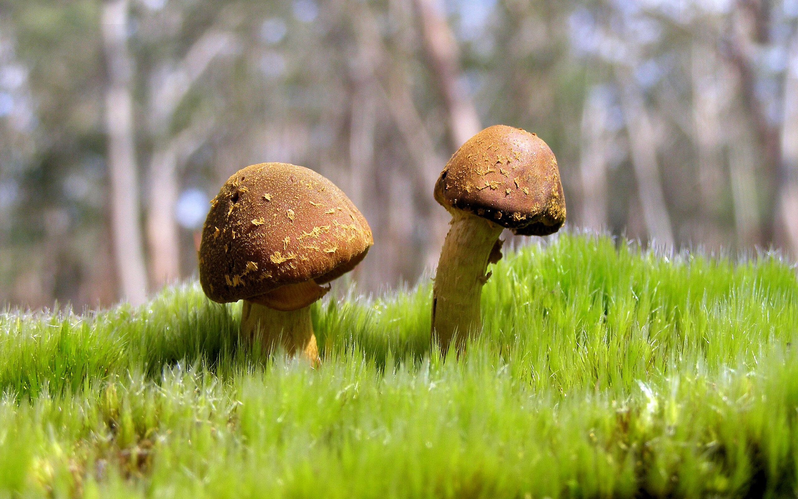 卡马文加数据全面爆炸!全能中场驱动斗牛士军团稳步碾压新西兰