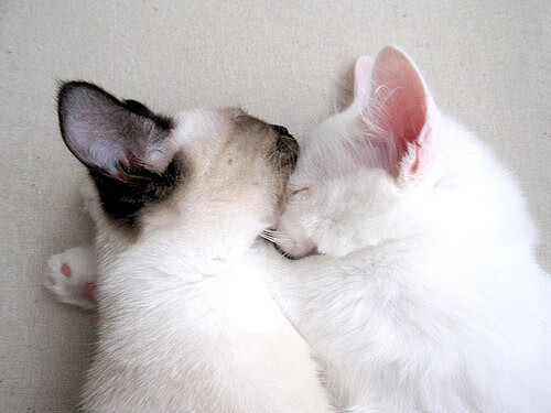 奥运之门在12分钟内关闭,阿什拉夫末节神级演出,巴西险胜丹麦