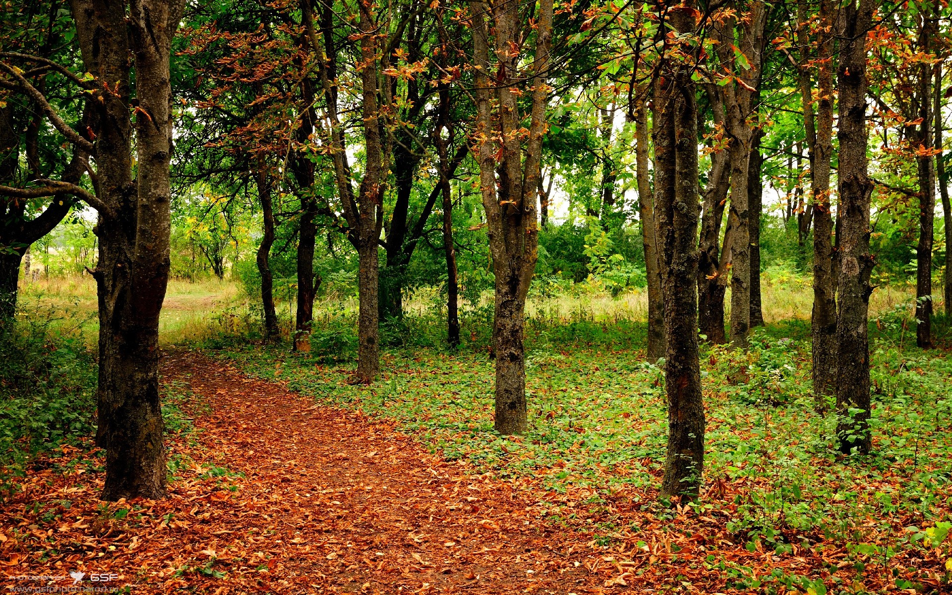 1.一扑定江山,奥纳纳的雷霆之击,让英超争冠之夜提前落幕