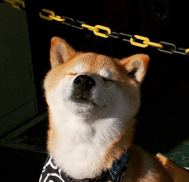 旧时代的韧性，当莫德里奇的优雅与巴拉圭的铁壁，同时刺痛这个时代