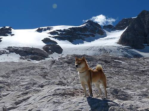 英超争冠之夜与伦纳德的杀伤，竞技体育本质是寒芒一点