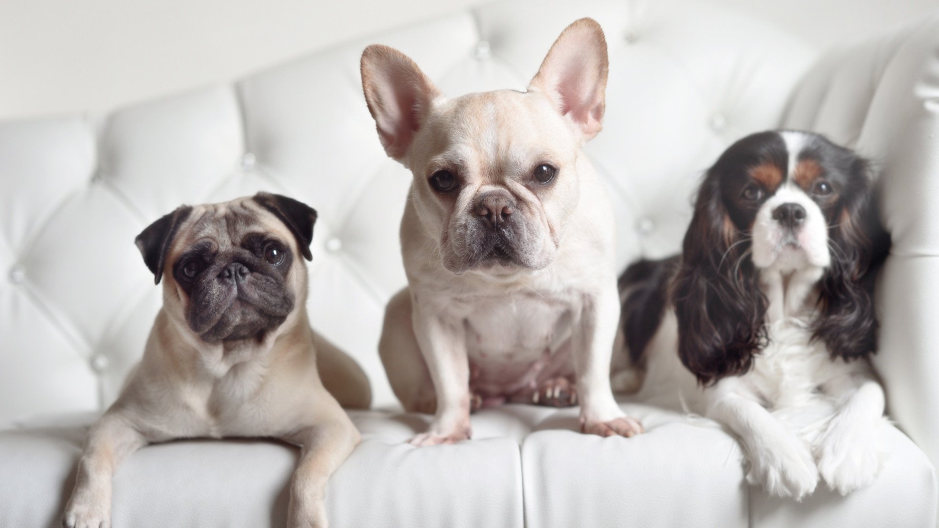 跨越欧亚的绿茵版图，金玟哉里程碑与乌克兰的战术压制