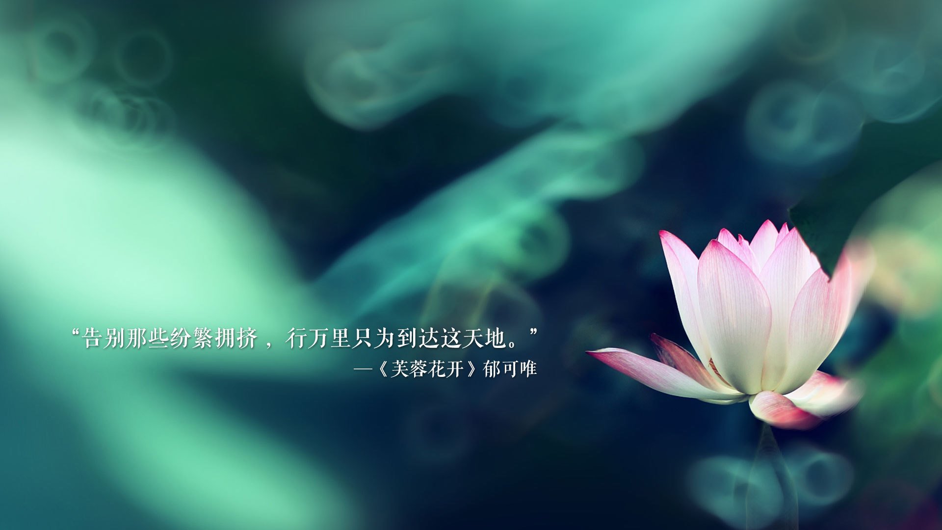 冰与火之战，2026世界杯D组，美国钢铁防线碾压冰岛，梅西独舞点燃北美之夜