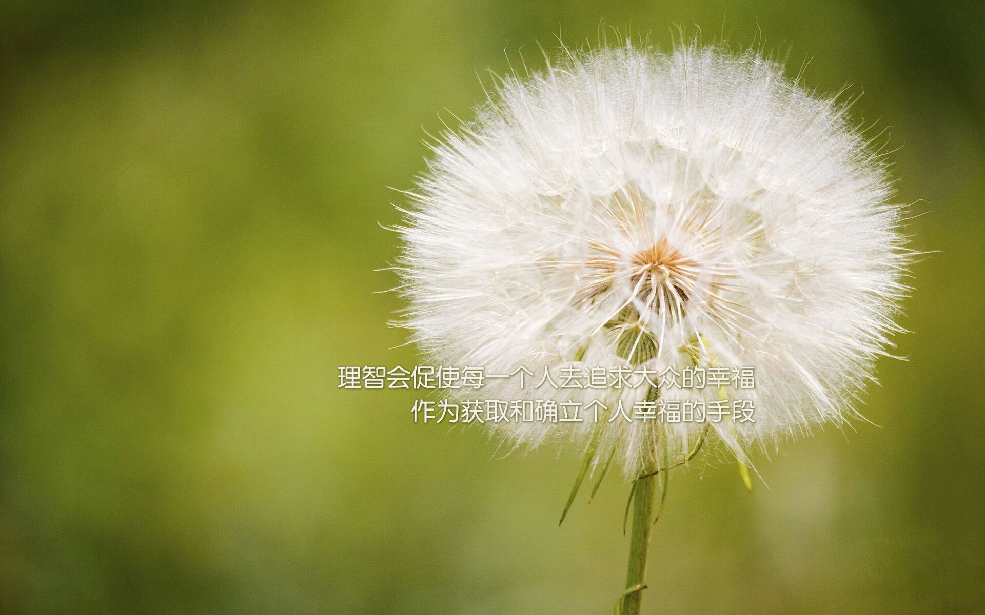 孤星闪耀，2026世界杯淘汰赛，格列兹曼与保加利亚的铁血史诗