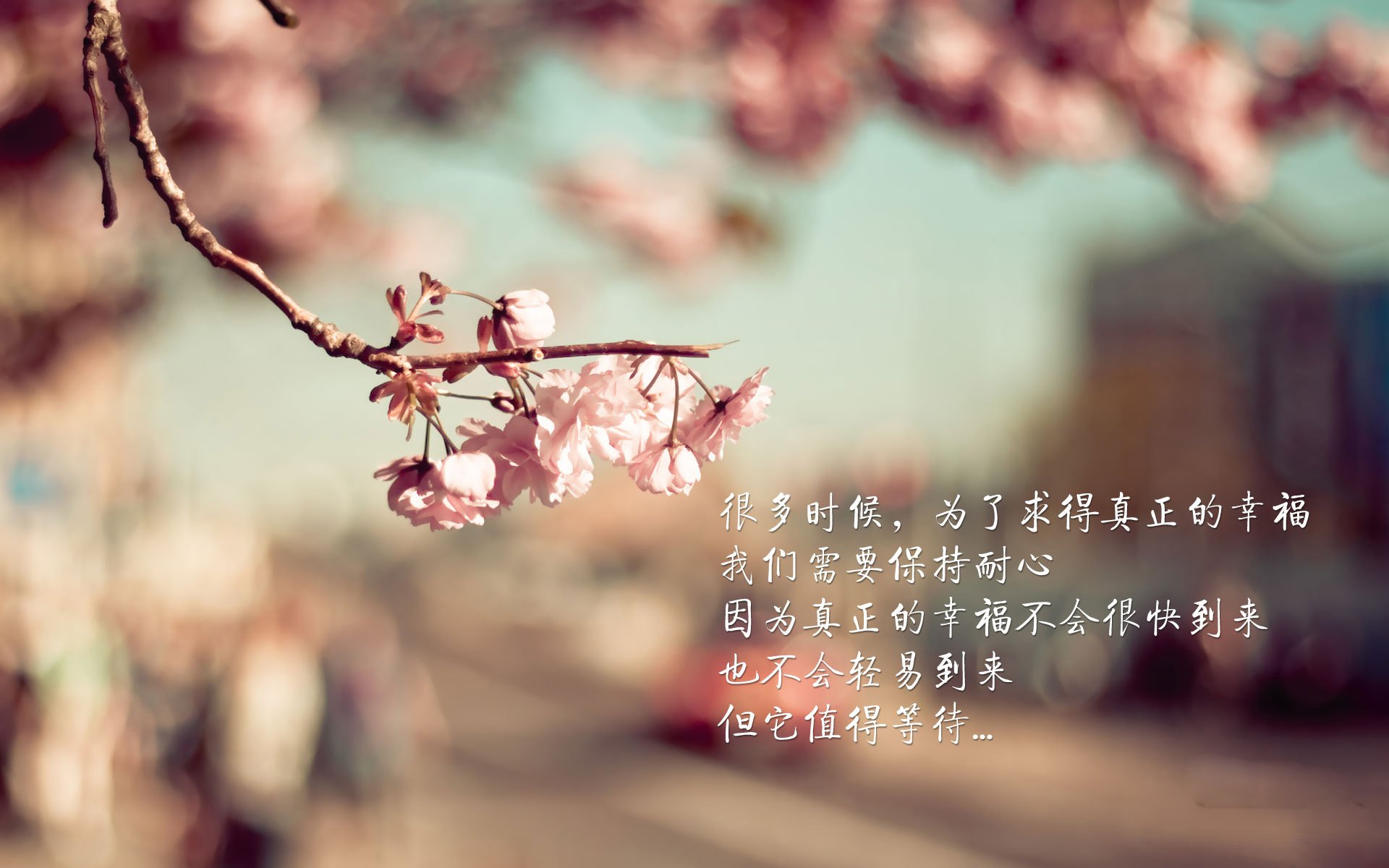 2026世界杯C组强强对话，奥地利横扫罗马尼亚，萨卡闪耀全场，门将神勇铸就唯一经典