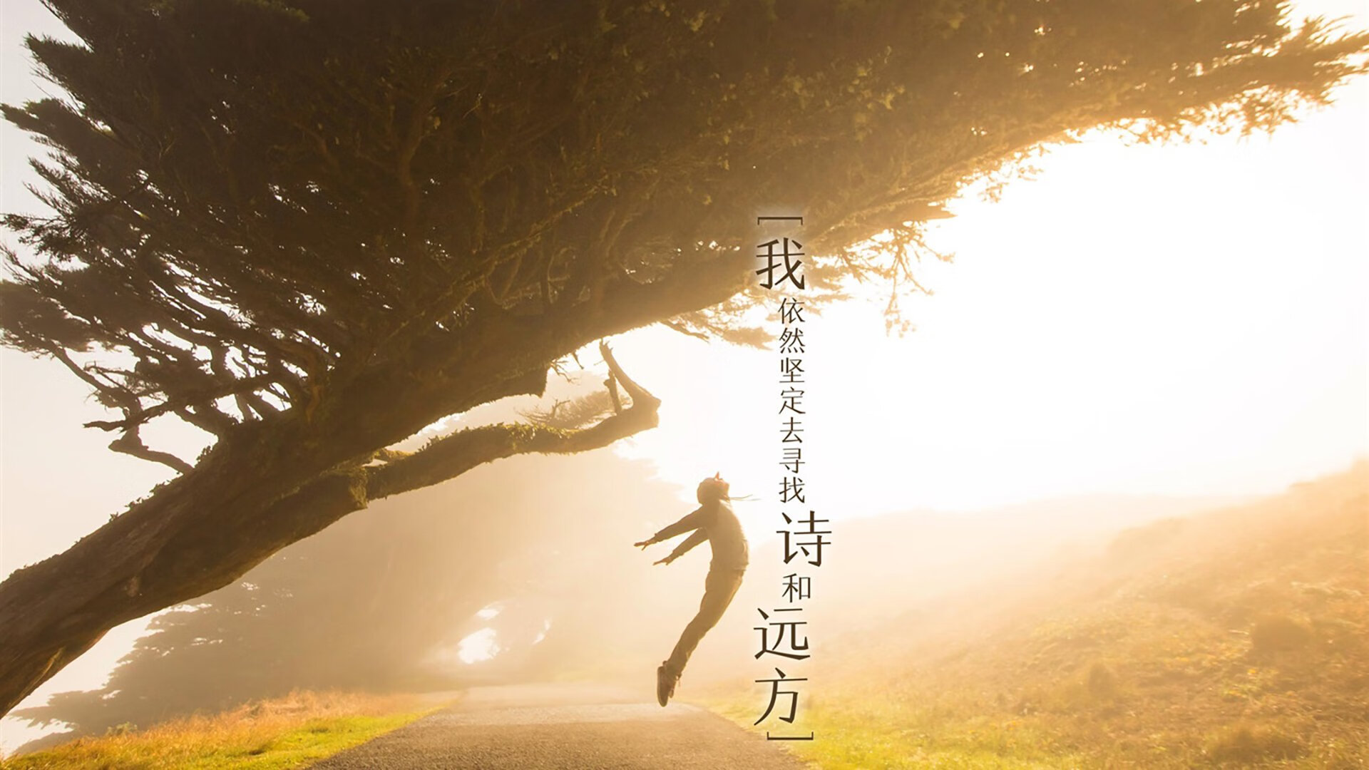 极速风暴，2026世界杯C组关键战，波兰铁骑险胜泰国，C罗引领反击潮