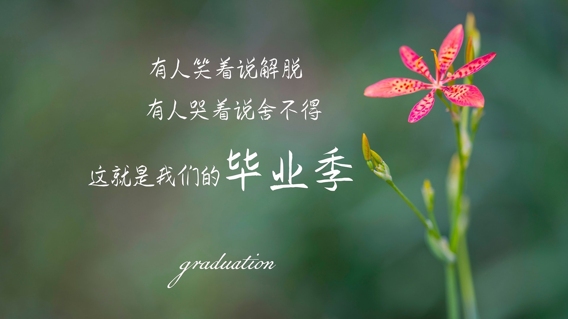 波斯铁骑屠蓝衣，替补奇兵定乾坤—2026世界杯B组关键战，伊朗大胜意大利，迪亚斯带队续写神话